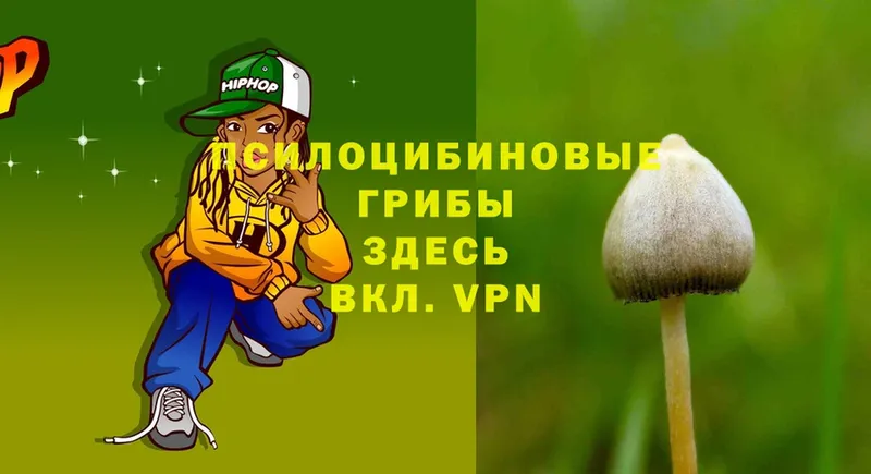 Галлюциногенные грибы Psilocybine cubensis  Дальнереченск 